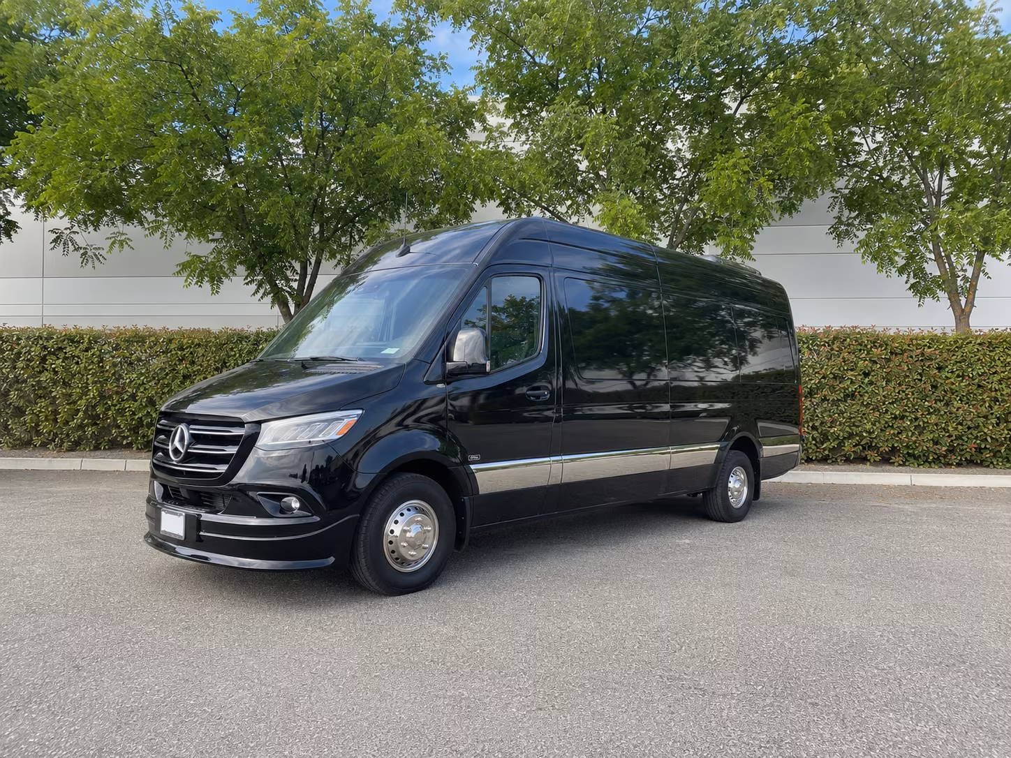 rio rancho sprinter van with driver