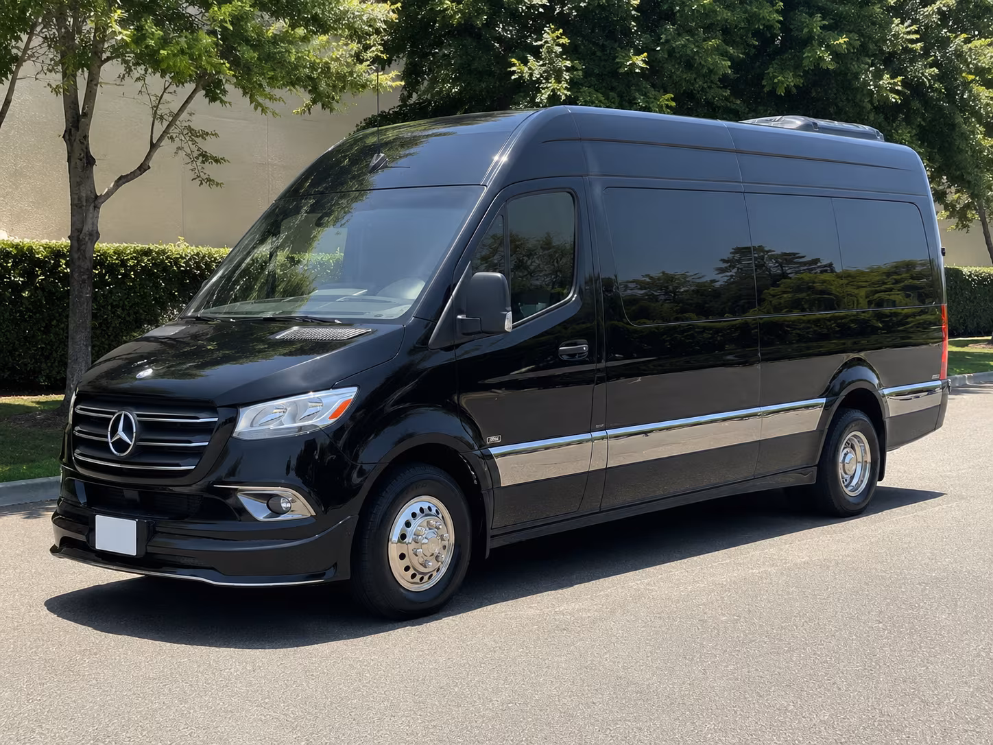 sprinter vans and smaller bus rentals for rio rancho prom couples and small groups